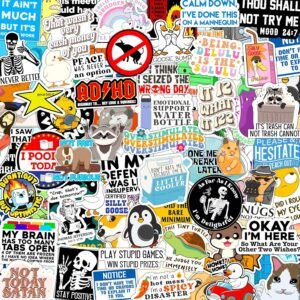 123PCS Stickers Pack for Adults, Women, Nurses, Bulk Sarcastic Sticker Pack for Water Bottles, Laptop, Bumper, Phone, Window Bumper Humor Joke Vinyl Waterproof