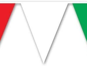 RWG Indoor/Outdoor Pennant Banner Party Accessory (1 count) (1/Pkg)